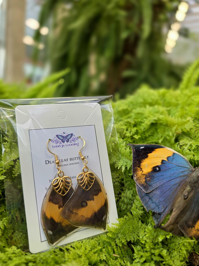 Kõrvarõngad "Dead leaf butterfly"
