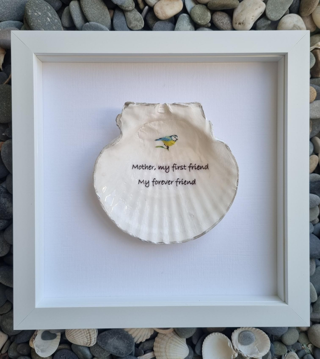 Framed Scallop Shells for Mothers 