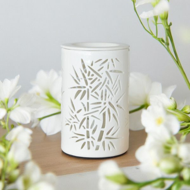 Diffuseur par Chaleur Douce Calorya 5 