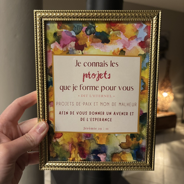 Affiche Projet de Paix