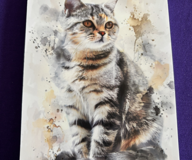 Plain Note Pad  Cat American Short Haired