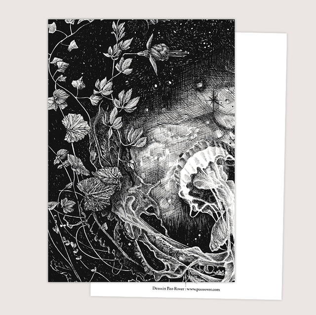 Carte &quot;Méduse&quot;