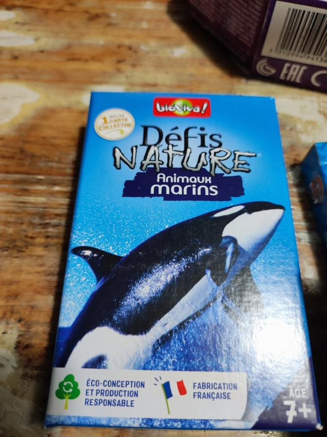 DEFIS NATURE DES PETITS 