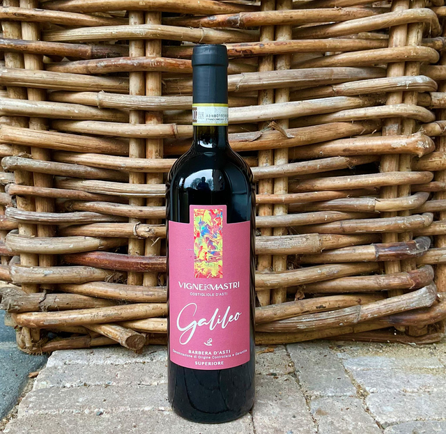 Barbera d'Asti Superiore 2020 DOCG "Galileo"
