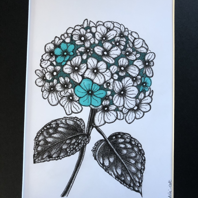 Fleur d’hortensia - 32 x 42 cm - encadrement noir