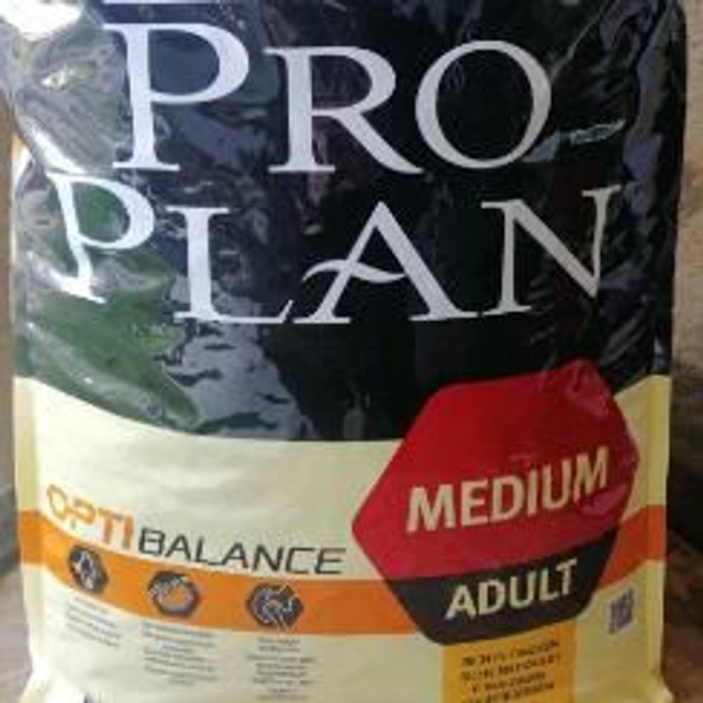 adult medium 18kg poulet