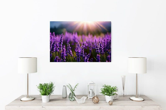 Champ de Lavande Provençal 🌿 | Tableau Coloré – Décoration Murale Sereine 🎨