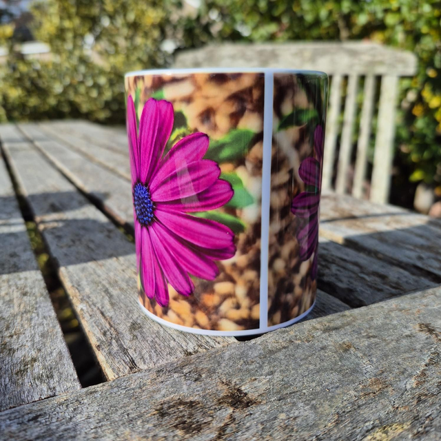 Osteospermum mug