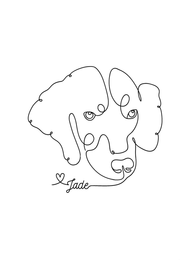 Dog Portrait Line Drawings