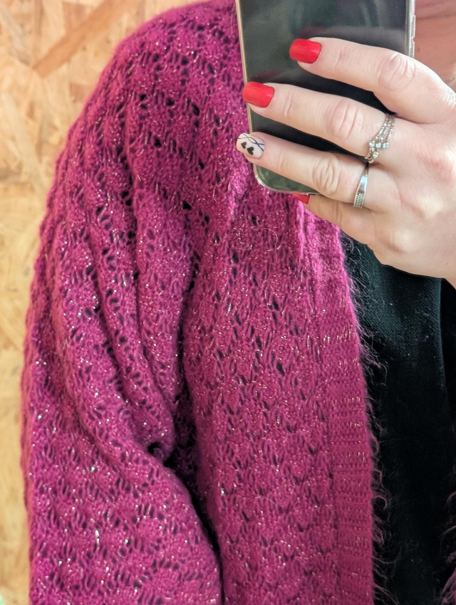 Ref P025 Gilet Annie prune