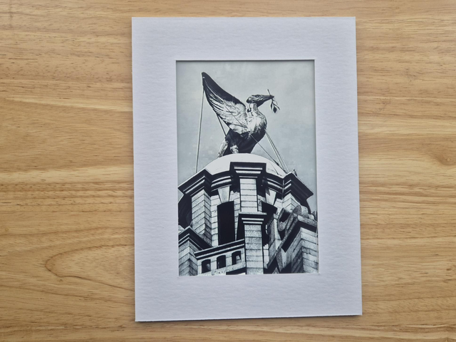 Liver Bird Black and White Photography Print (Mounted, 6x8" to fit 6x4")