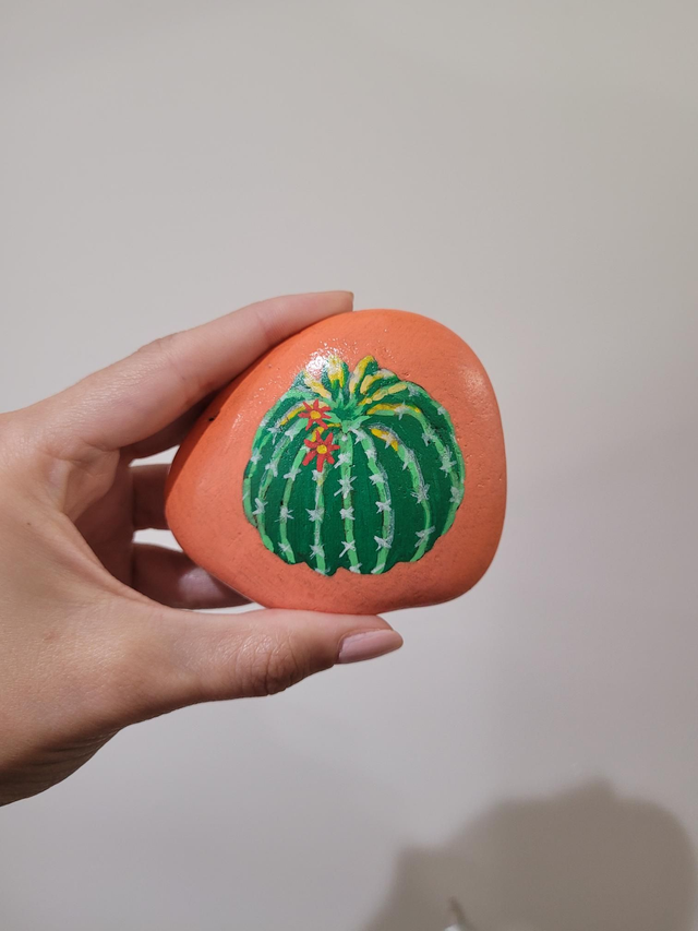 Round Cacti Pebble (Orange Background) - NW-319