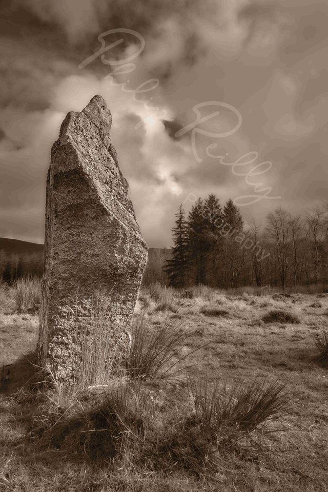Knickeen Ogham Stone by Philip Reilly