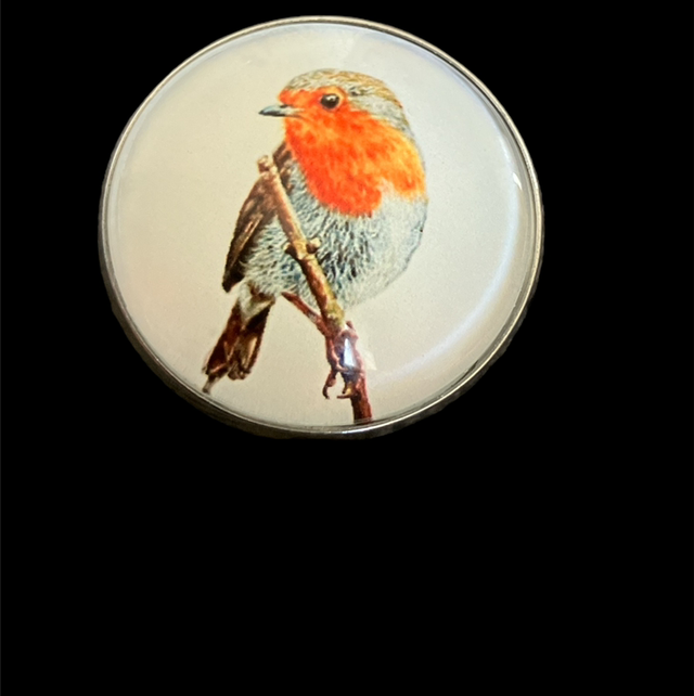 Robin Badge