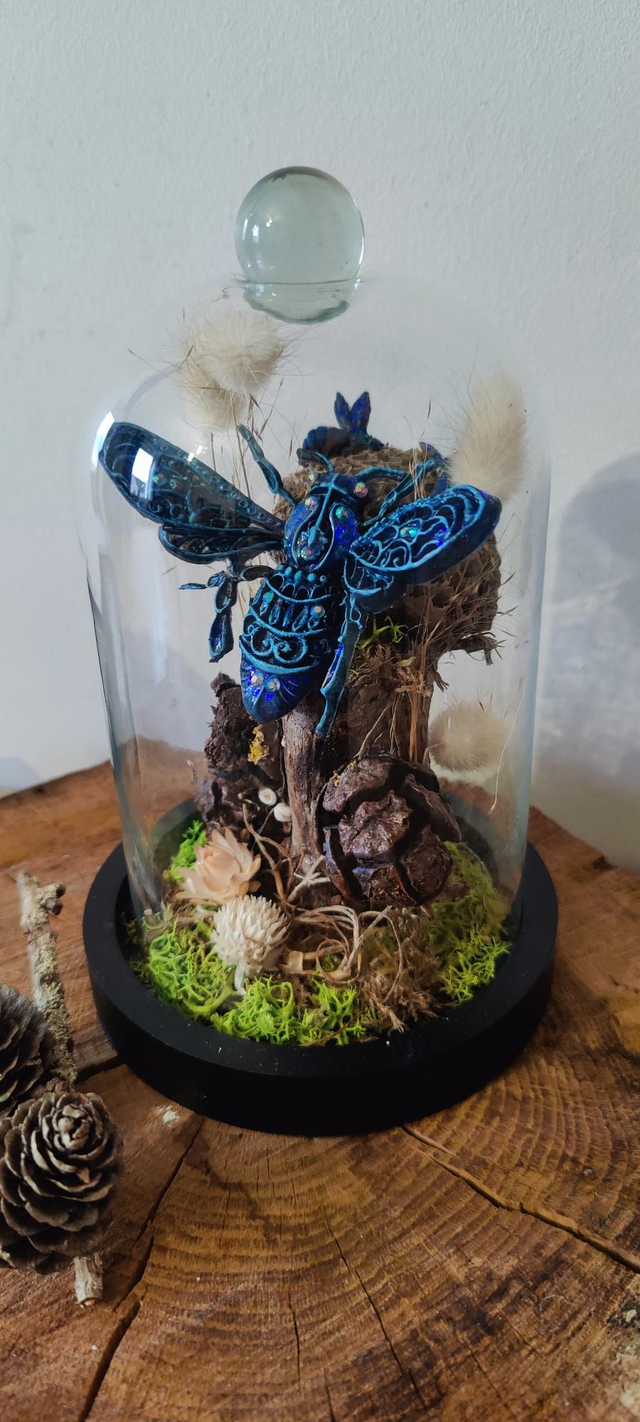 Curiosités sous cloche: le Nid d&#039;abeille