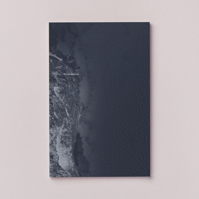 Néanmoins (livre 64 p.)