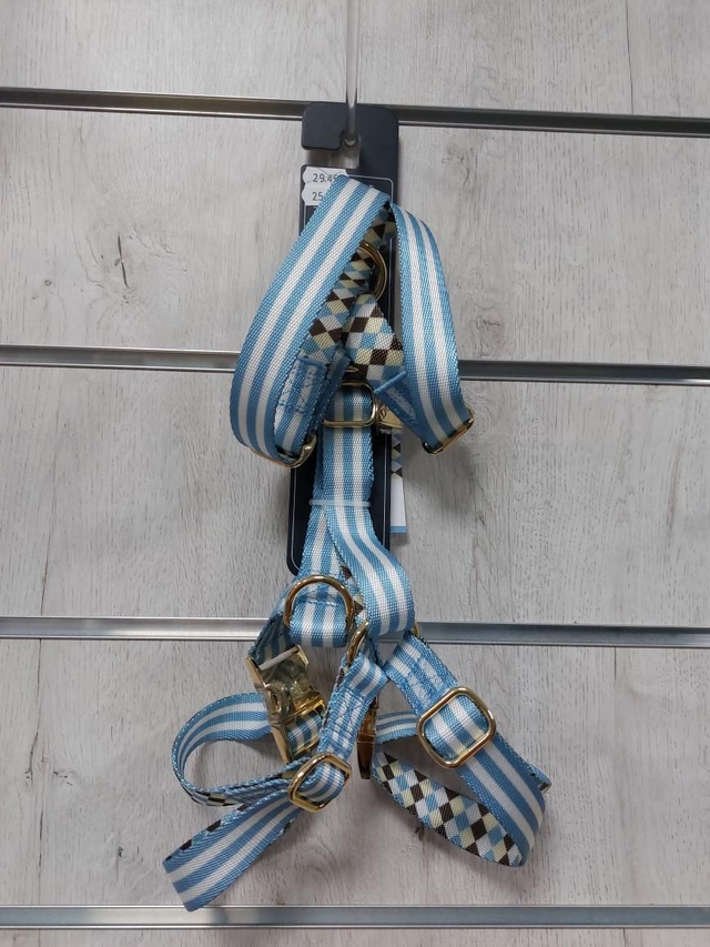 Arnés H Educativo (Samba) En tallas S,M,L