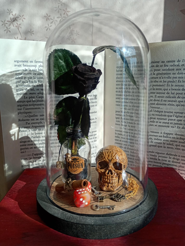 D02 Pirate fleur noire