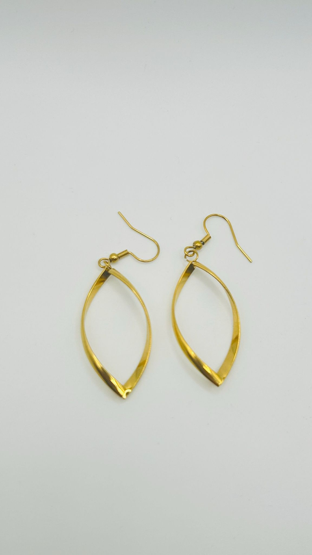 Stainless Steel Earrings (SSE3J)
