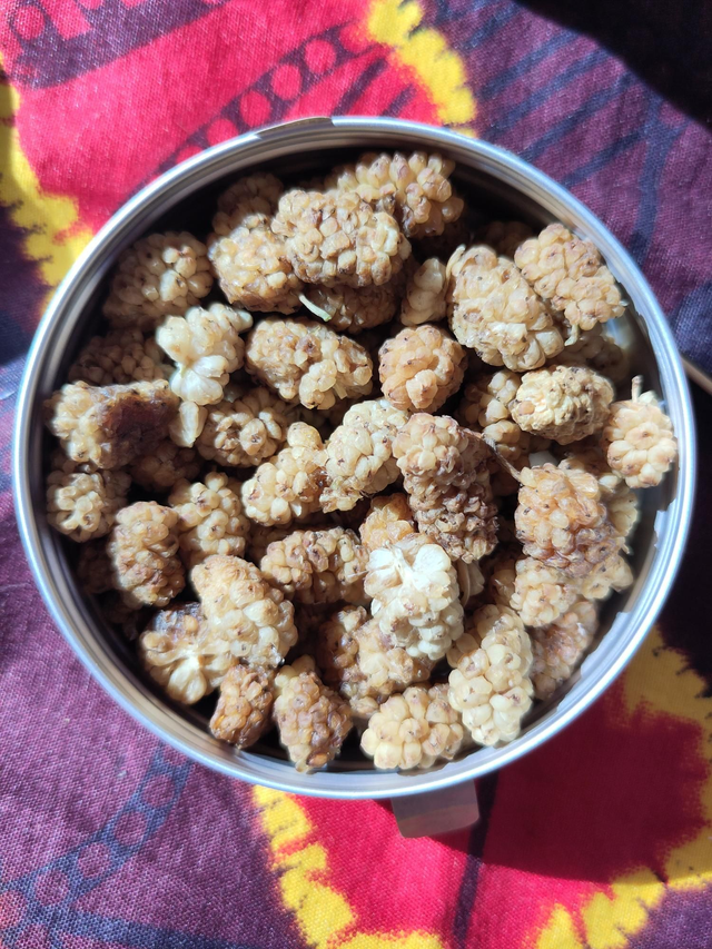 Moerbei, gedroogde witte biologische 100ml 