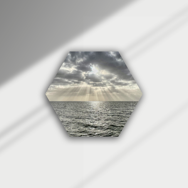 Dibond print - Zonne Harp