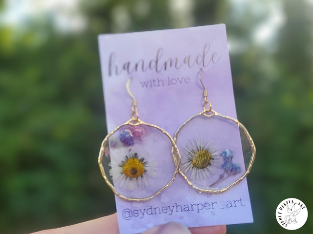 Daisy Garden