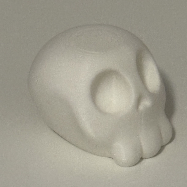 3D Printed Skull