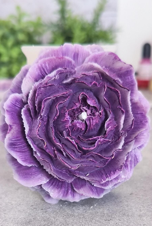 Bougie Pivoine duo de couleur 