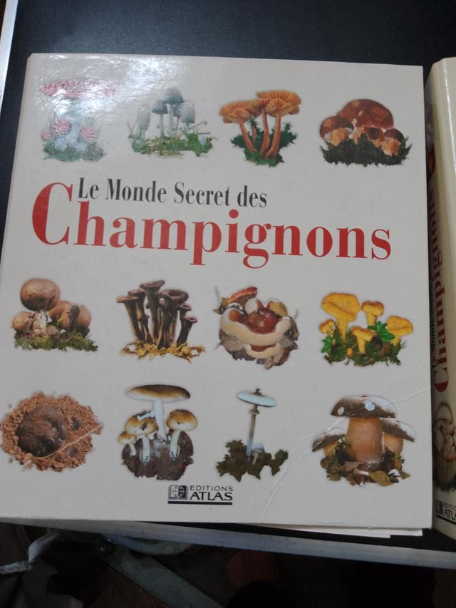 Le Monde secret des champignons (2 classeurs)