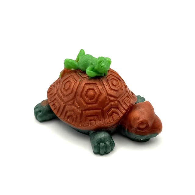 Tortue avec grenouille sur le dos 