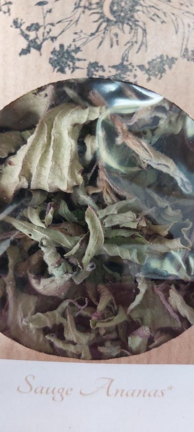Sauge Ananas