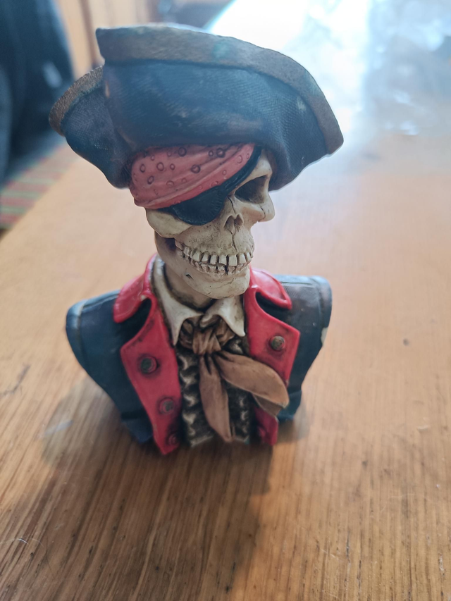 Tete de pirate