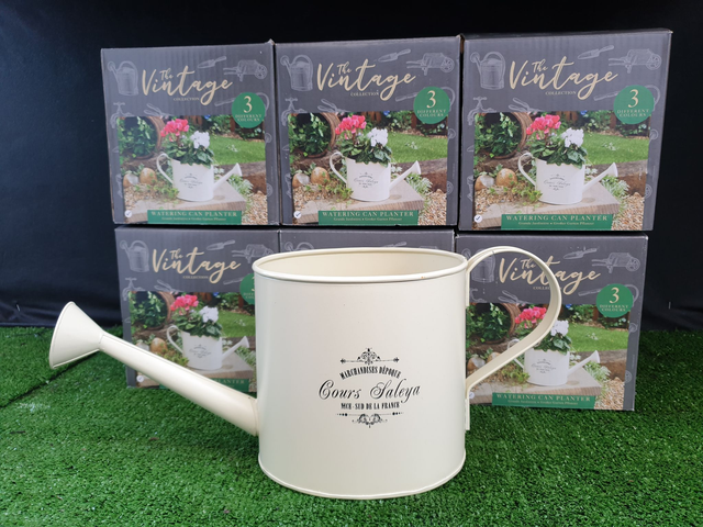Metal Vintage Watering Can Planter - Indoor Cream