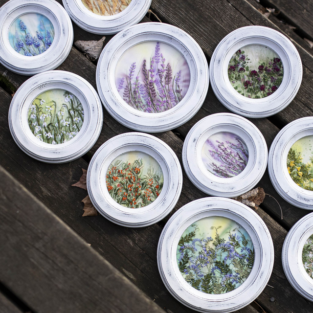 BIRD VETCH | Botanical Study