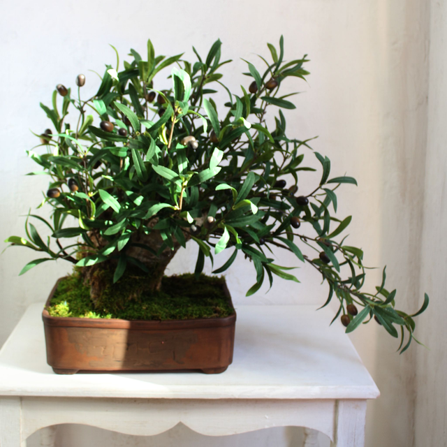 Bonsai 0CR601 OLIVO artificial