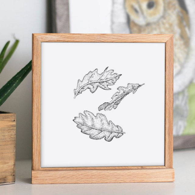 Falling Oak Leaves Art Print