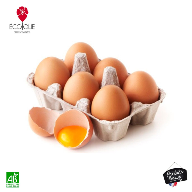 Oeufs Frais Bio (6)