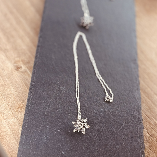 L’éternelle Alpine