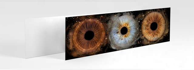 Photo contrecollée sur PVC panorama 33X95cm