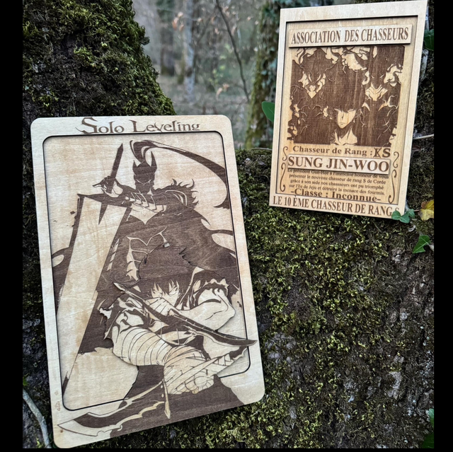 Pack du Joueur Solitaire 