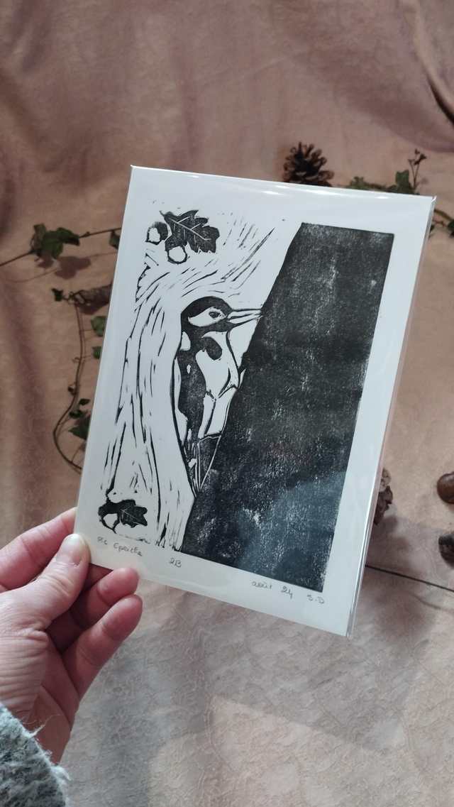 Illustration Oiseau Pic Épeiche en linogravure