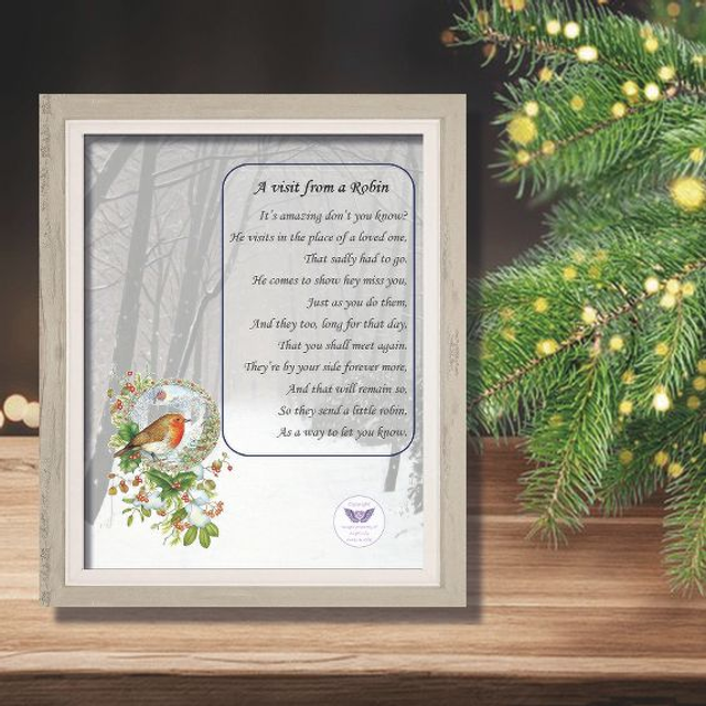 X12: Visit from a Robin