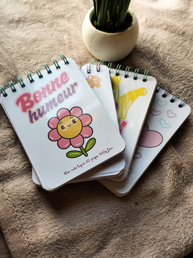 Bloc ligné 60 pages