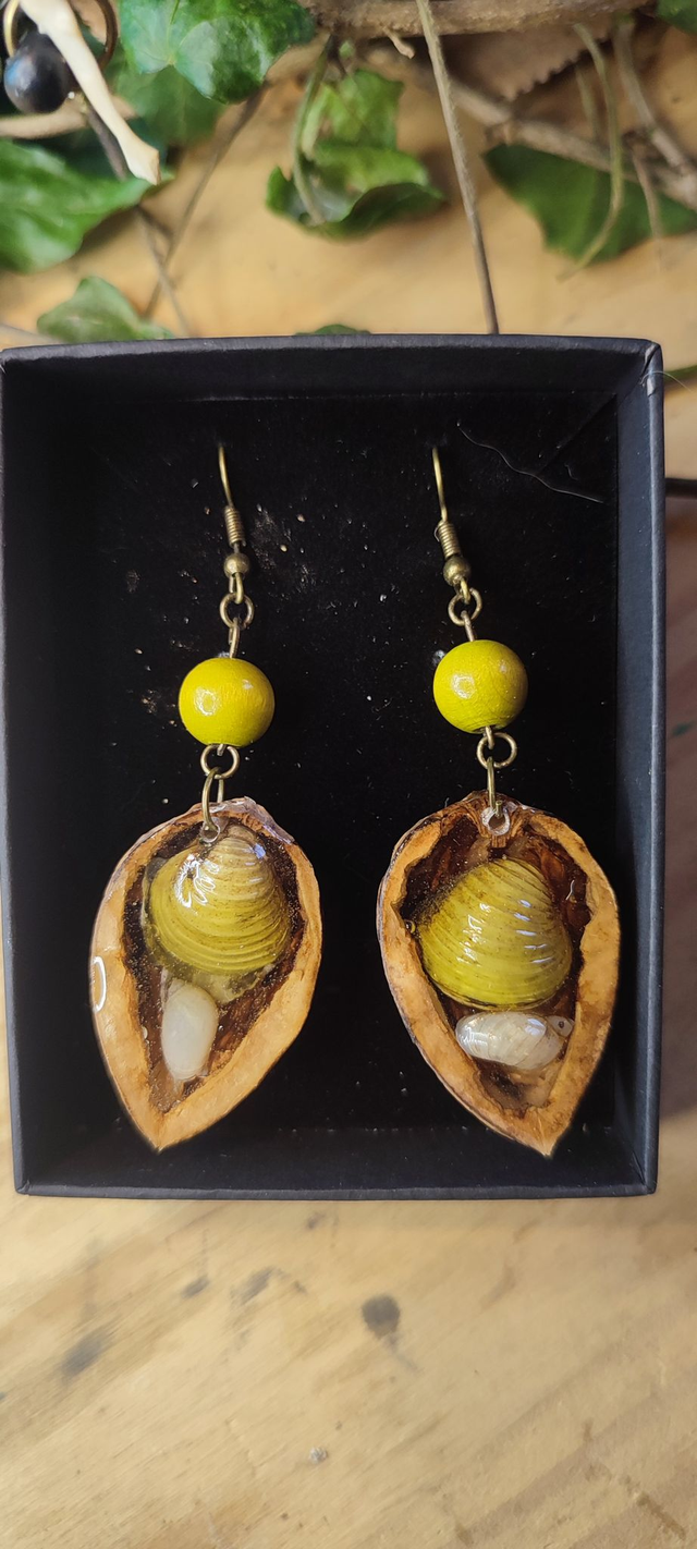 Coquillages d&#039;eau douce