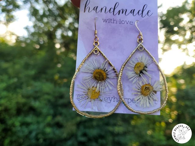 Double Daisies