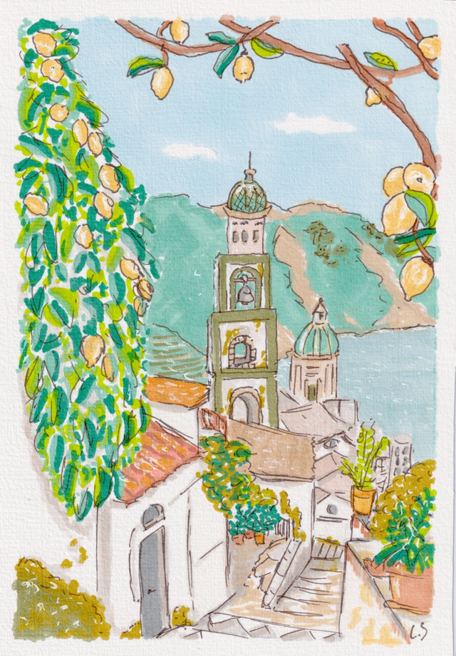 Citronniers à Ravello