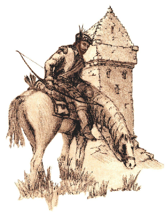 BORDER Archery - Branches CV5