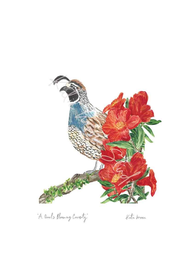 A Quail's Blooming Curiosity