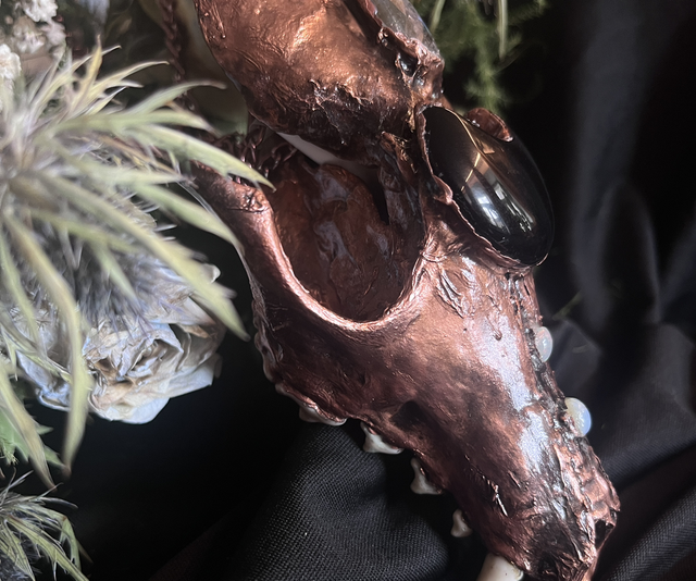 Vulpecula Arcana (The Secret Fox) 