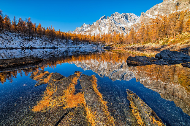 Lago nero autunnale